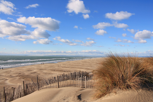 Camping Camargue - 65 - campings